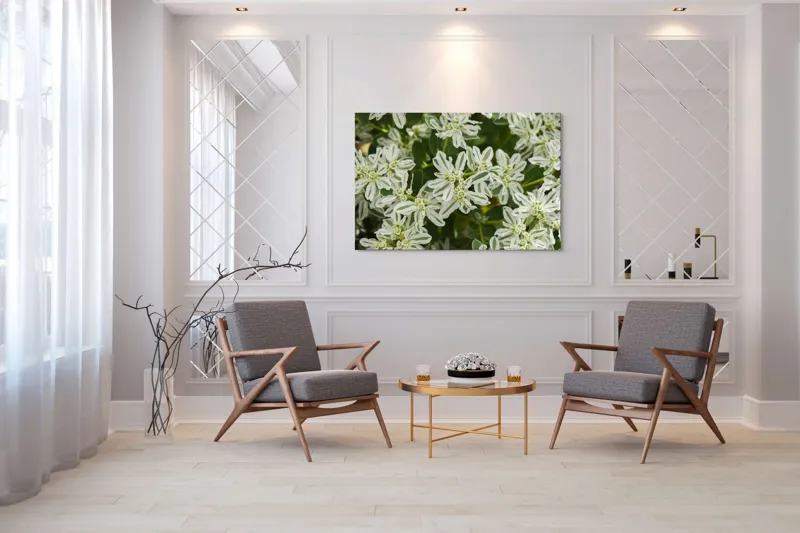 Tablou Canvas, "Flori de lapte în grădină luxuriantă", Nu pot identifica plante sau flori din imagini., 150 x 100 cm – poza 7