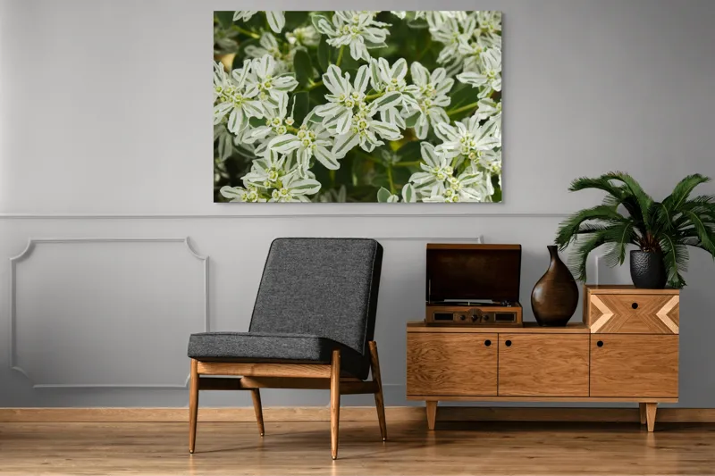 Tablou Canvas, "Flori de lapte în grădină luxuriantă", Nu pot identifica plante sau flori din imagini., 150 x 100 cm – poza 8