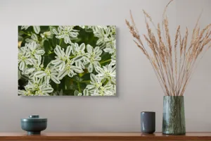 Tablou Canvas, "Flori de lapte în grădină luxuriantă", 54 x 39 cm – poza 4