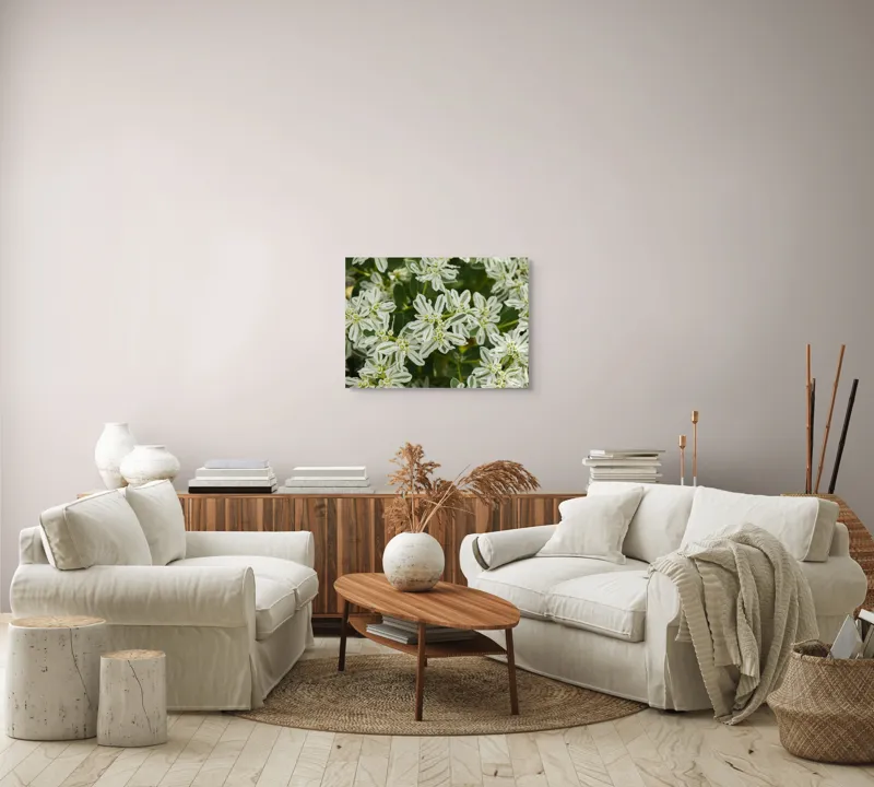 Tablou Canvas, "Flori de lapte în grădină luxuriantă", 70 x 50 cm – poza 6