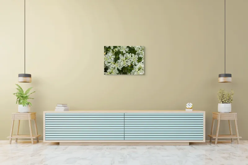 Tablou Canvas, "Flori de lapte în grădină luxuriantă", 70 x 50 cm – poza 7