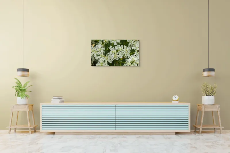 Tablou Canvas, "Flori de lapte în grădină luxuriantă", 90 x 50 cm – poza 5