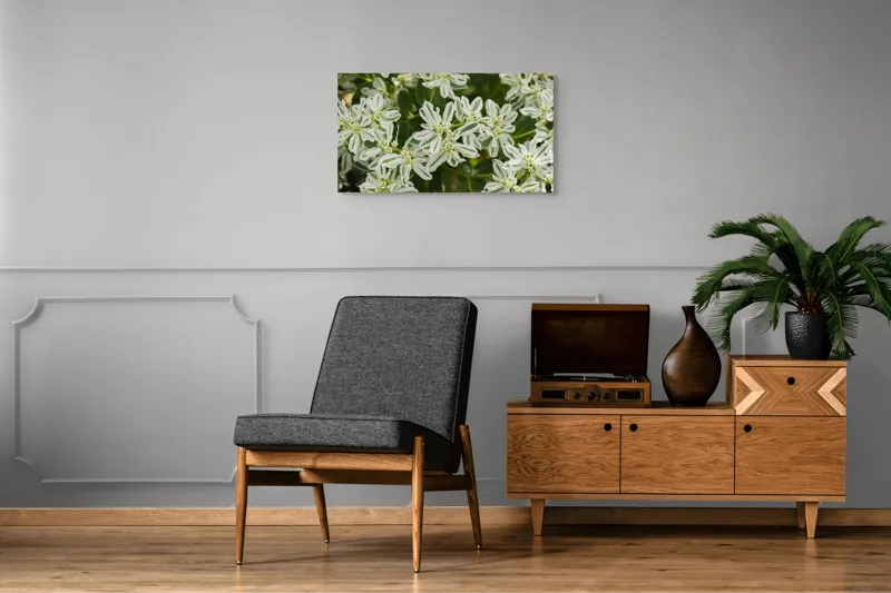 Tablou Canvas, "Flori de lapte în grădină luxuriantă", 90 x 50 cm – poza 6