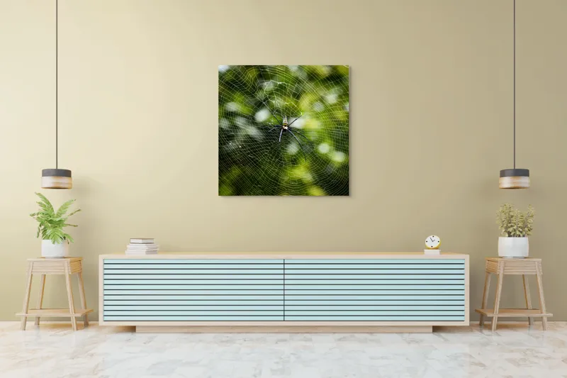 Tablou Canvas, "Păianjenul stăpân peste pânză", Pânză, Fină, Simetrie, Natură, Armonie, Echilibru, Radial, Capcana, Fragilitate, Artă, 100 x 100 cm – poza 5