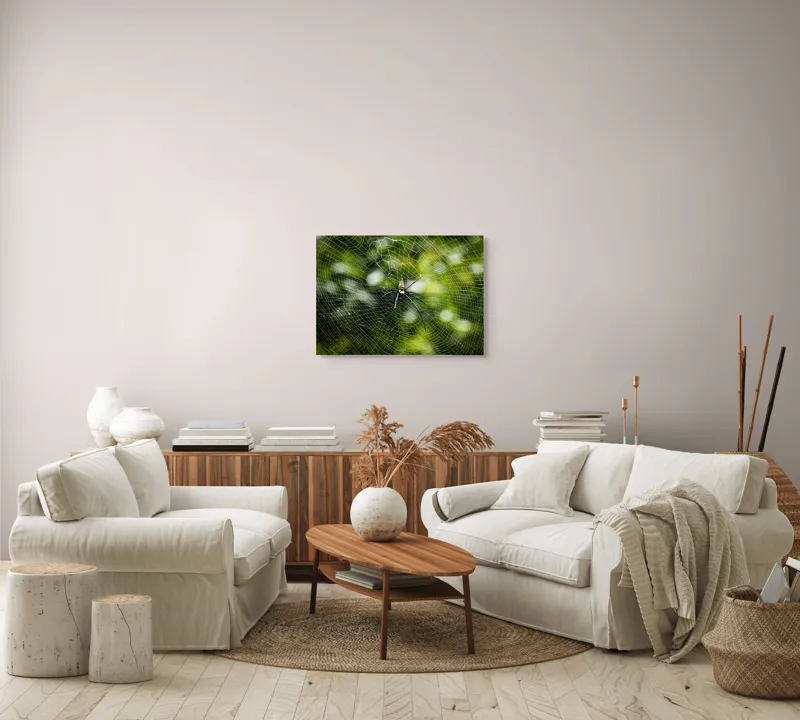 Tablou Canvas, "Păianjenul stăpân peste pânză", Pânză, Fină, Simetrie, Natură, Armonie, Echilibru, Radial, Capcana, Fragilitate, Artă, 70 x 50 cm – poza 6