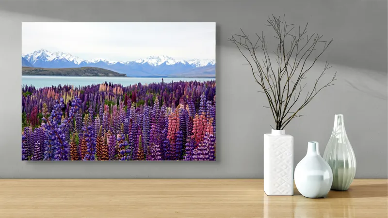 Tablou Canvas, "Flori sălbatice cu munți înzăpeziți", Flori, Munți, Lac, Peisaj, Vară, Natură, Albastru, Roz, Vârfuri, Cer, Serpentine, Magnificență, Splendoare, Liniște, Culoare, 70 x 50 cm – poza 3