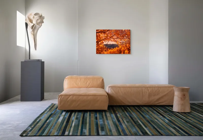 Tablou Canvas, "Peisaj de toamnă transilvăneană
", Frunziș, Munte, Cer, Peisaj, Toamnă, Lumină, Ferigă, Natură, Vibrant, Pădure, 70 x 50 cm – poza 8