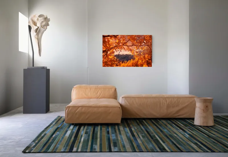 Tablou Canvas, "Peisaj de toamnă transilvăneană
", Frunziș, Munte, Cer, Peisaj, Toamnă, Lumină, Ferigă, Natură, Vibrant, Pădure, 90 x 50 cm – poza 8
