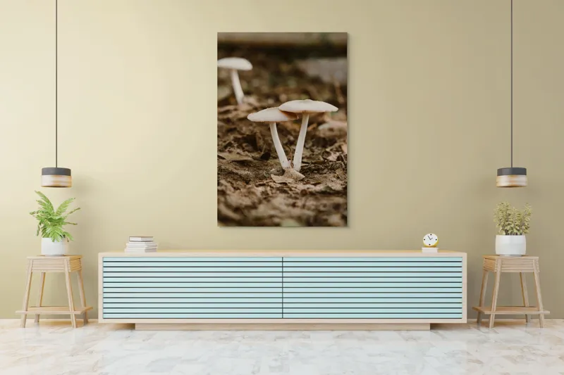 Tablou Canvas, "Ciuperci delicate în lumina toamnei", Ciuperci, Pământ, Natură, Frunze, Fotografie, Rustică, Textură, Umbră, 100 x 150 cm – poza 4