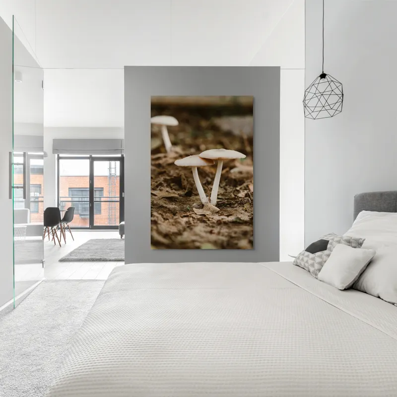 Tablou Canvas, "Ciuperci delicate în lumina toamnei", Ciuperci, Pământ, Natură, Frunze, Fotografie, Rustică, Textură, Umbră, 100 x 150 cm – poza 5