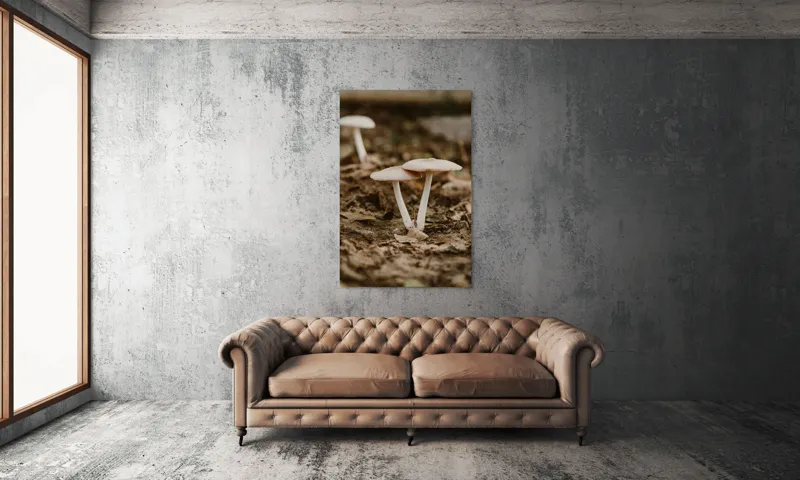 Tablou Canvas, "Ciuperci delicate în lumina toamnei", Ciuperci, Pământ, Natură, Frunze, Fotografie, Rustică, Textură, Umbră, 100 x 150 cm – poza 6