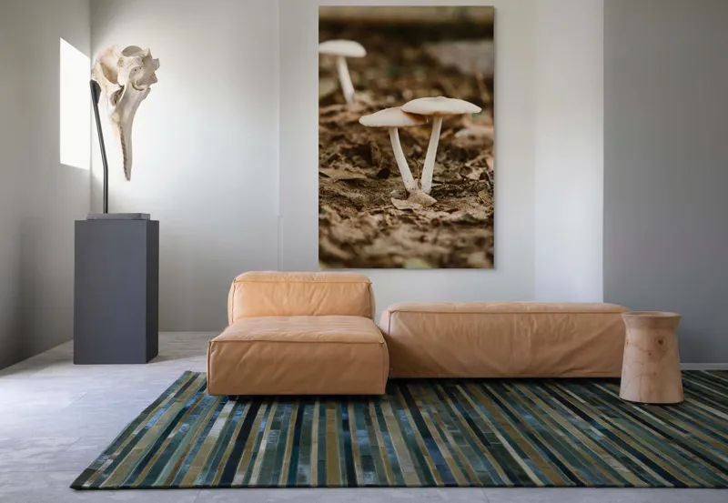Tablou Canvas, "Ciuperci delicate în lumina toamnei", Ciuperci, Pământ, Natură, Frunze, Fotografie, Rustică, Textură, Umbră, 100 x 150 cm – poza 7
