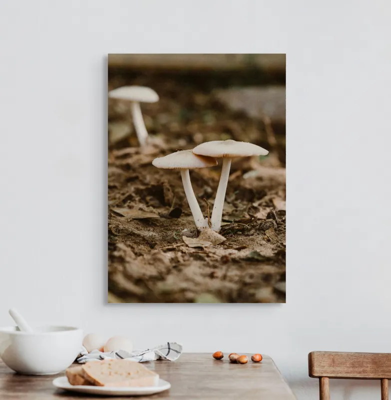 Tablou Canvas, "Ciuperci delicate în lumina toamnei", Ciuperci, Pământ, Natură, Frunze, Fotografie, Rustică, Textură, Umbră, 50 x 70 cm – poza 3