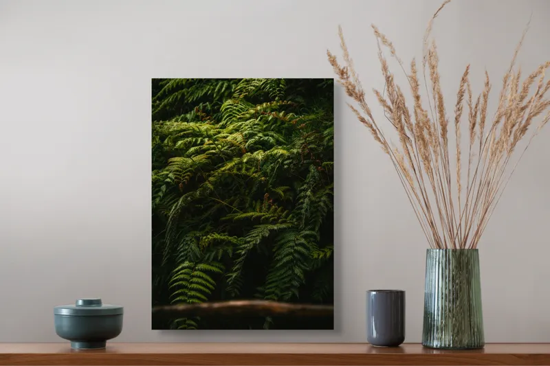 Tablou Canvas, "Frunzișul unei păduri sălbatice", Frunze, Ferigi, Verde, Umbre, Natură, Vegetație, Densitate, Lumină, Frunziș, 39 x 54 cm – poza 3