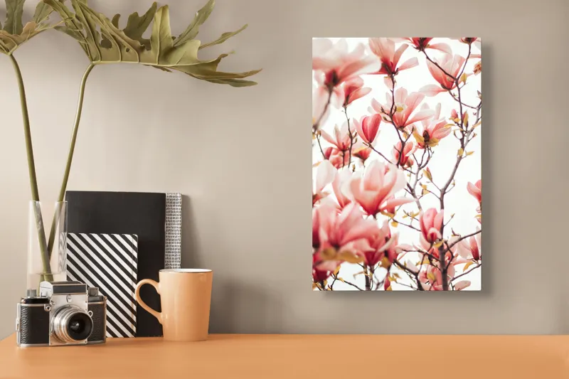 Tablou Canvas, "Floare de magnolie în primăvară", Flori, Magnolii, Roz, Ramuri, Primăvară, Delicat, Natură, Frumusețe, Cer, Petale, 26 x 39 cm – poza 3