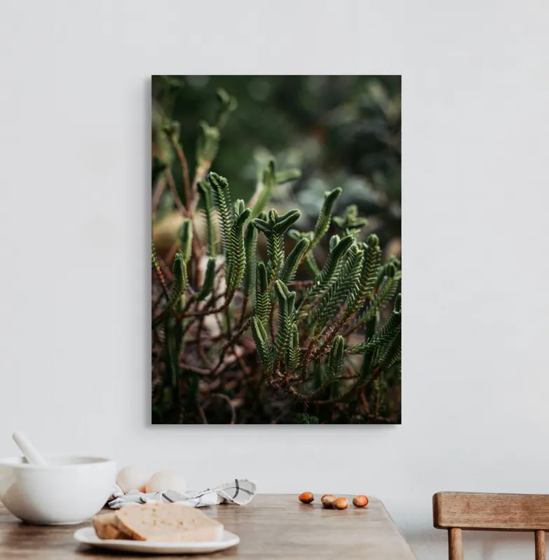 Tablou Canvas, "Frumusețea verde a naturii sălbatice", Verde, Textură, Frunze, Natural, Abundență, Detalii, Plante, Vitalitate, 50 x 70 cm – poza 3