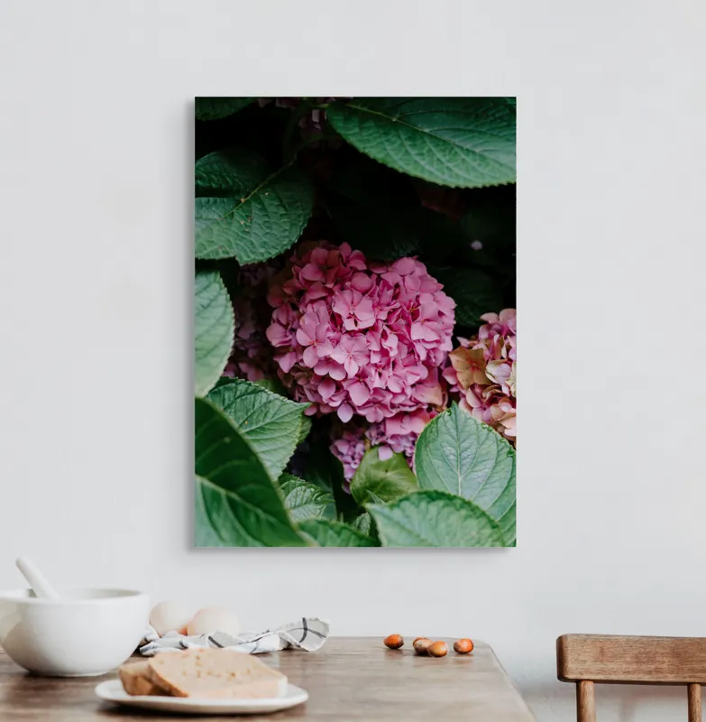 Tablou Canvas, "Hortensii roz printre frunze verzi", Flori, Roz, Frunze, Verde, Natură, Delicat, Grădină, Elegant, Contrast, Frumusețe, 50 x 70 cm – poza 3