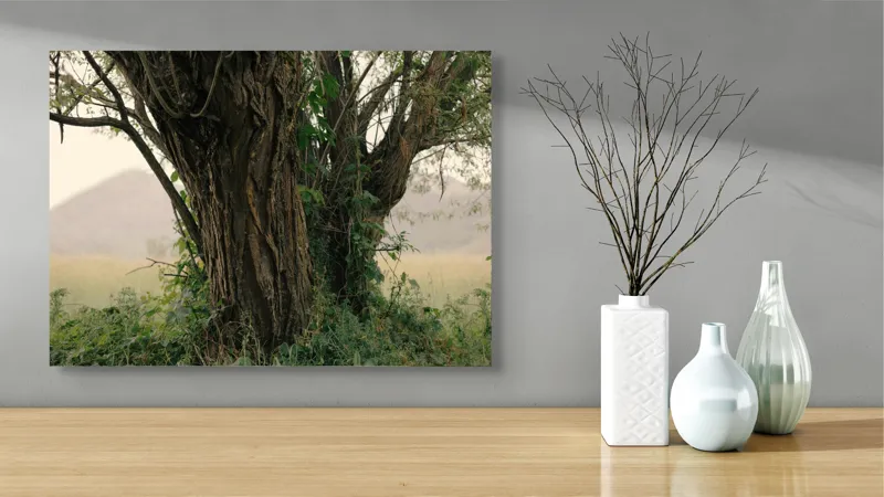 Tablou Canvas, "Misterul copacului în amurgul verii", Copac, Scoarță, Crengi, Frunze, Peisaj, Vegetație, Dealuri, Câmpie, Natură, Rustic., 70 x 50 cm – poza 3