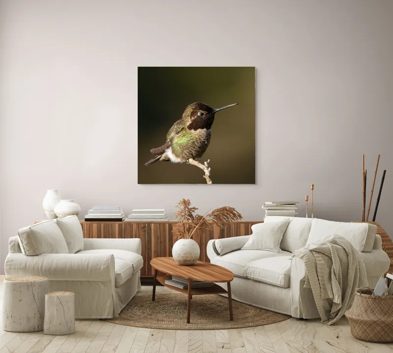 Tablou Canvas, "Colibri pe o creangă uscată", Pasăre, Ramură, Penaj, Verde, Natură, Delicatețe, Contrast, Frumusețe, Micime, 100 x 100 cm – poza 3