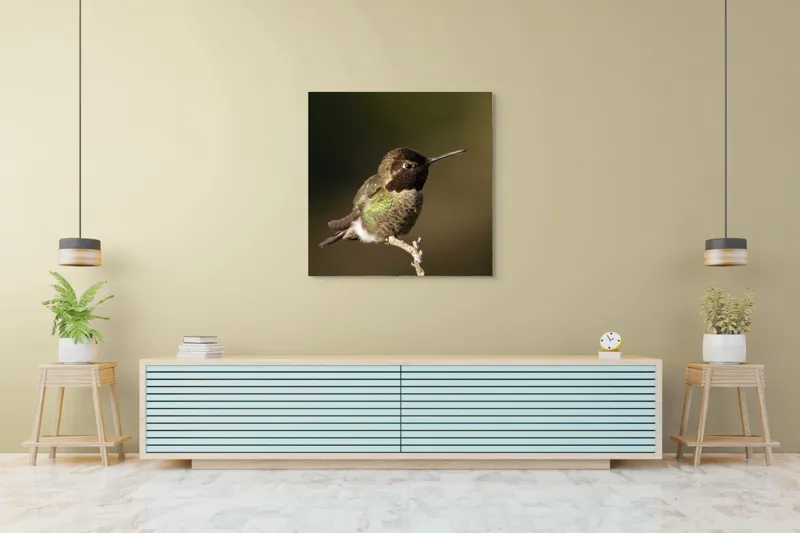 Tablou Canvas, "Colibri pe o creangă uscată", Pasăre, Ramură, Penaj, Verde, Natură, Delicatețe, Contrast, Frumusețe, Micime, 100 x 100 cm – poza 5