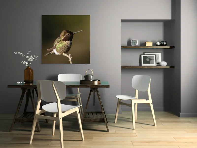 Tablou Canvas, "Colibri pe o creangă uscată", Pasăre, Ramură, Penaj, Verde, Natură, Delicatețe, Contrast, Frumusețe, Micime, 100 x 100 cm – poza 6