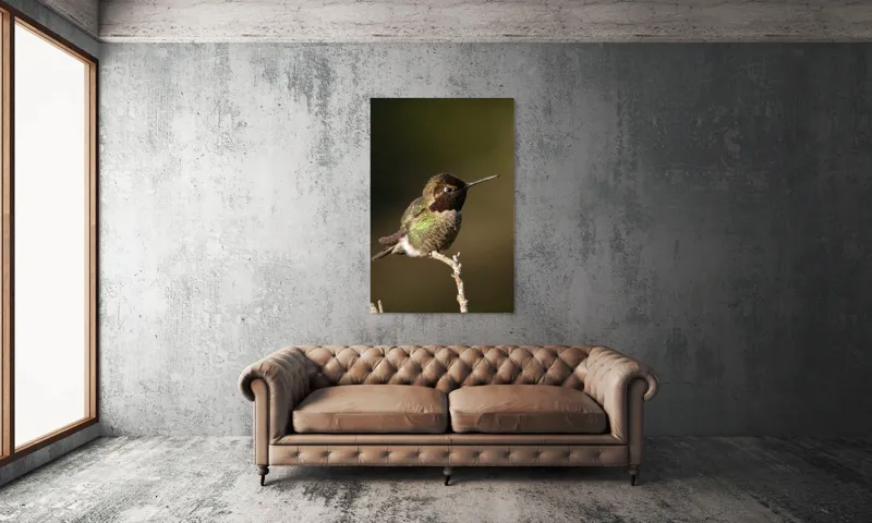 Tablou Canvas, "Colibri pe o creangă uscată", Pasăre, Ramură, Penaj, Verde, Natură, Delicatețe, Contrast, Frumusețe, Micime, 100 x 150 cm – poza 6