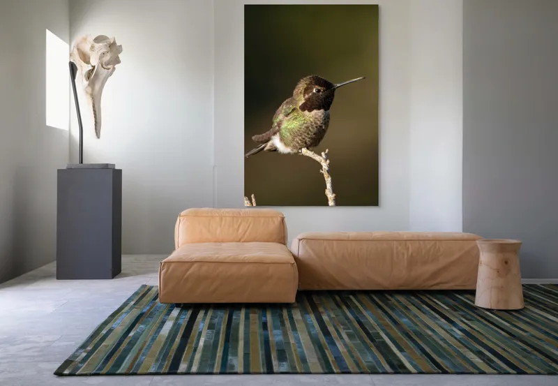 Tablou Canvas, "Colibri pe o creangă uscată", Pasăre, Ramură, Penaj, Verde, Natură, Delicatețe, Contrast, Frumusețe, Micime, 100 x 150 cm – poza 7