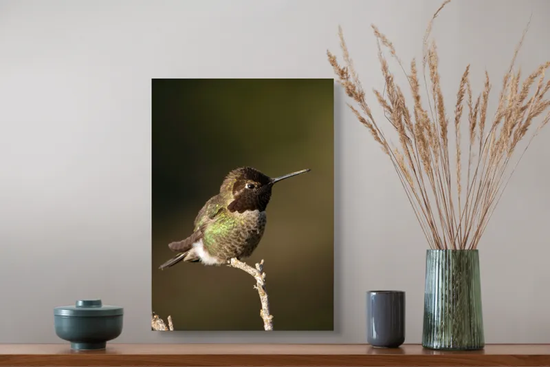 Tablou Canvas, "Colibri pe o creangă uscată", Pasăre, Ramură, Penaj, Verde, Natură, Delicatețe, Contrast, Frumusețe, Micime, 39 x 54 cm – poza 3