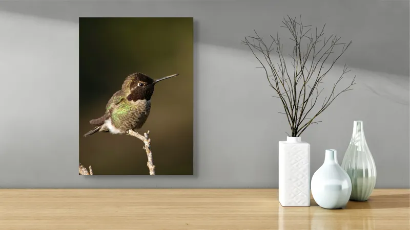 Tablou Canvas, "Colibri pe o creangă uscată", Pasăre, Ramură, Penaj, Verde, Natură, Delicatețe, Contrast, Frumusețe, Micime, 39 x 54 cm – poza 4