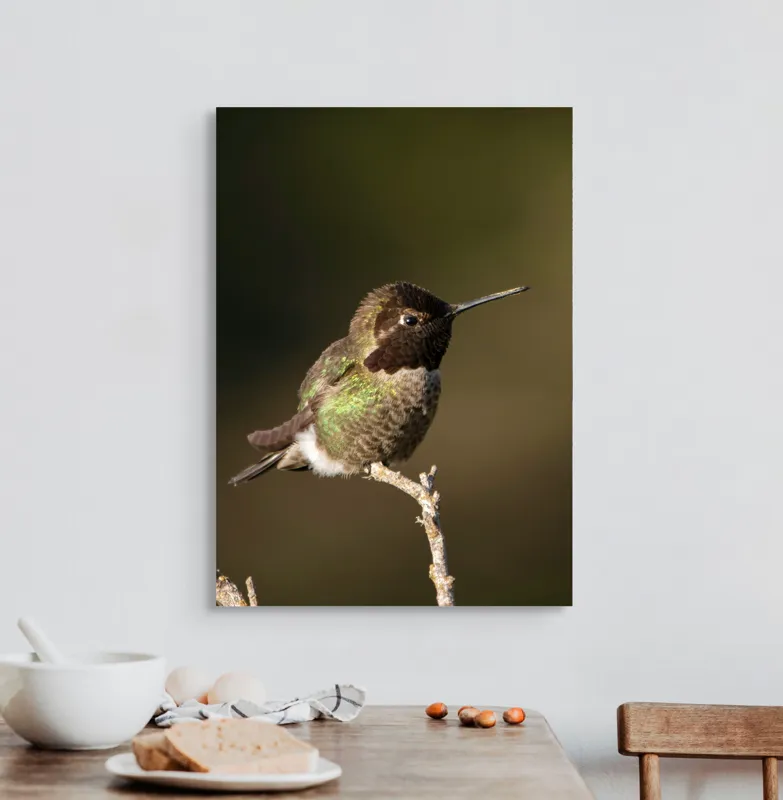 Tablou Canvas, "Colibri pe o creangă uscată", Pasăre, Ramură, Penaj, Verde, Natură, Delicatețe, Contrast, Frumusețe, Micime, 50 x 70 cm – poza 3