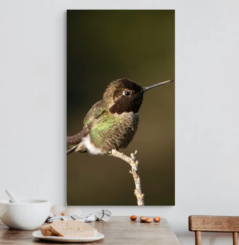 Tablou Canvas, "Colibri pe o creangă uscată", Pasăre, Ramură, Penaj, Verde, Natură, Delicatețe, Contrast, Frumusețe, Micime, 50 x 90 cm – poza 3