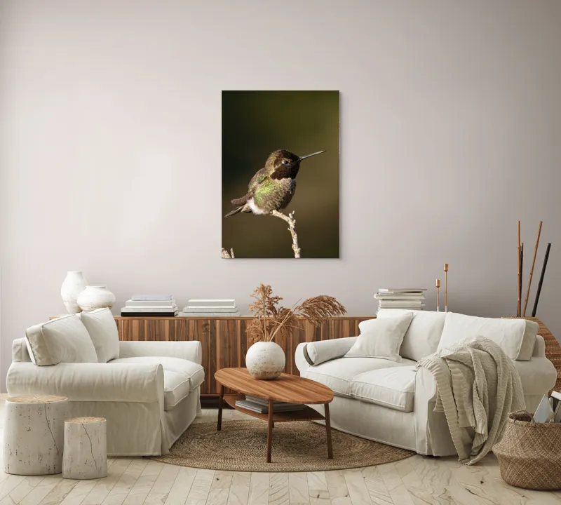 Tablou Canvas, "Colibri pe o creangă uscată", Pasăre, Ramură, Penaj, Verde, Natură, Delicatețe, Contrast, Frumusețe, Micime, 70 x 100 cm – poza 4