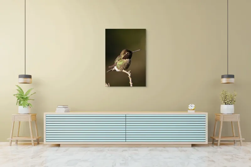 Tablou Canvas, "Colibri pe o creangă uscată", Pasăre, Ramură, Penaj, Verde, Natură, Delicatețe, Contrast, Frumusețe, Micime, 70 x 100 cm – poza 5