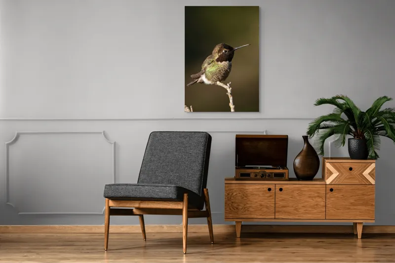 Tablou Canvas, "Colibri pe o creangă uscată", Pasăre, Ramură, Penaj, Verde, Natură, Delicatețe, Contrast, Frumusețe, Micime, 70 x 100 cm – poza 6