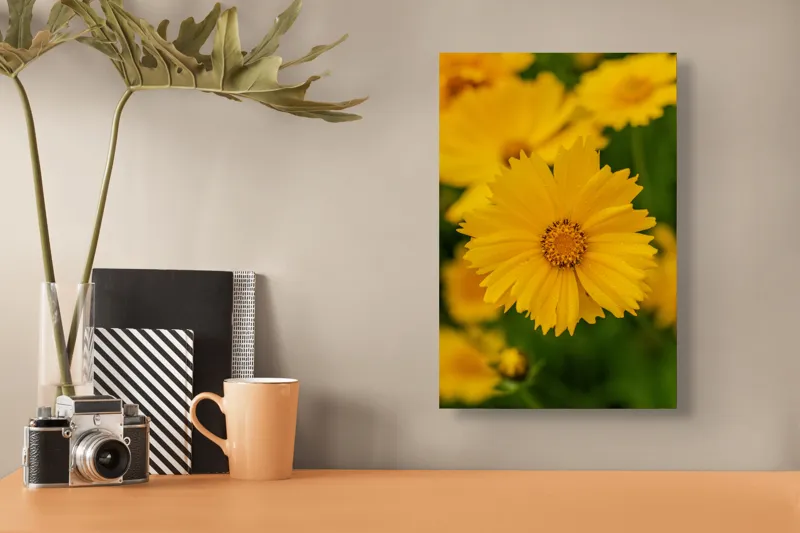 Tablou Canvas, "Strălucirea soarelui în grădină", Floare, Galbenă, Petale, Natură, Frumusețe, Prospețime, Primăvară, Viu, Delicat, Simetrie, 26 x 39 cm – poza 3