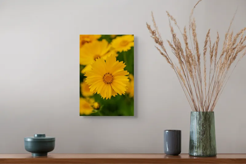 Tablou Canvas, "Strălucirea soarelui în grădină", Floare, Galbenă, Petale, Natură, Frumusețe, Prospețime, Primăvară, Viu, Delicat, Simetrie, 26 x 39 cm – poza 5