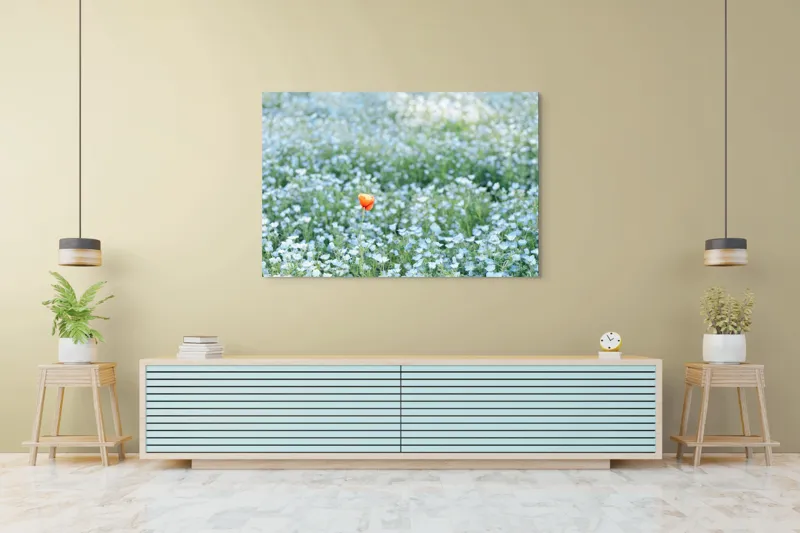 Tablou Canvas, "Dor solitar în mare de flori albastre", Floare, Unică, Contrast, Peisaj, Natură, Calmează, Simplu, Delicat, Verde, Singularitate, 150 x 100 cm – poza 6