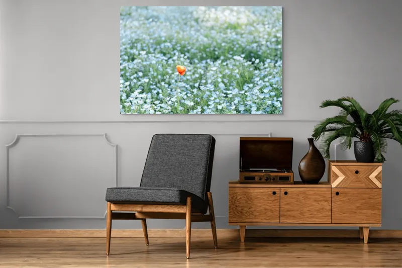 Tablou Canvas, "Dor solitar în mare de flori albastre", Floare, Unică, Contrast, Peisaj, Natură, Calmează, Simplu, Delicat, Verde, Singularitate, 150 x 100 cm – poza 8