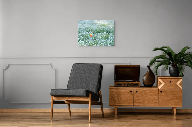 Tablou Canvas, "Dor solitar în mare de flori albastre", Floare, Unică, Contrast, Peisaj, Natură, Calmează, Simplu, Delicat, Verde, Singularitate, 70 x 50 cm – poza 4