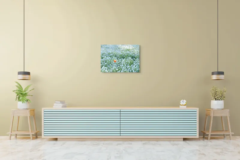 Tablou Canvas, "Dor solitar în mare de flori albastre", Floare, Unică, Contrast, Peisaj, Natură, Calmează, Simplu, Delicat, Verde, Singularitate, 70 x 50 cm – poza 7