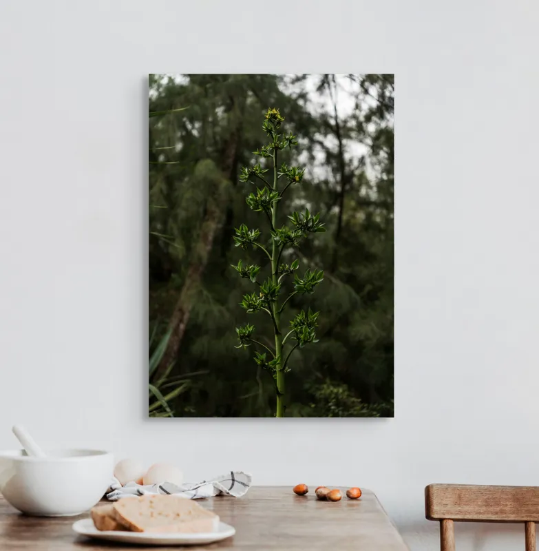 Tablou Canvas, "Plantă solitară în pădurea întunecată", Verde, Plantă, Tulpină, Natură, Frunze, Boboci, Pădure, Vegetație, 50 x 70 cm – poza 3