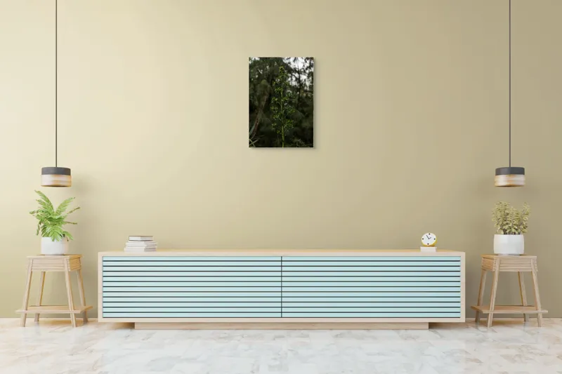 Tablou Canvas, "Plantă solitară în pădurea întunecată", Verde, Plantă, Tulpină, Natură, Frunze, Boboci, Pădure, Vegetație, 50 x 70 cm – poza 6