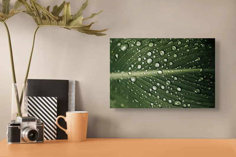 Tablou Canvas, "Picături de ploaie pe frunză verde", Picături, Frunză, Verde, Apă, Natură, Lumină, Textură, Răcoritoare, 39 x 26 cm – poza 3