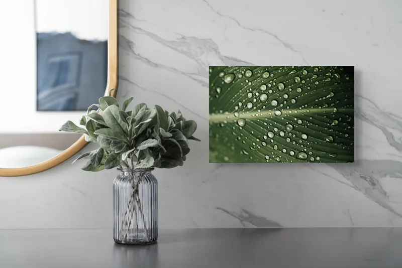 Tablou Canvas, "Picături de ploaie pe frunză verde", Picături, Frunză, Verde, Apă, Natură, Lumină, Textură, Răcoritoare, 39 x 26 cm – poza 5