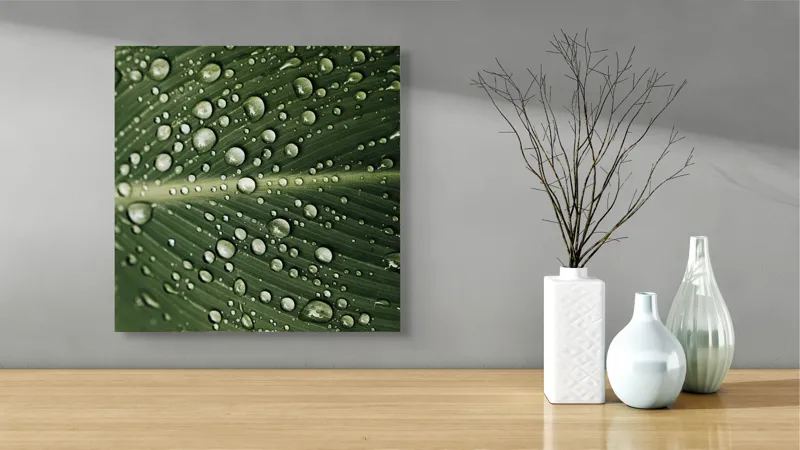 Tablou Canvas, "Picături de ploaie pe frunză verde", Picături, Frunză, Verde, Apă, Natură, Lumină, Textură, Răcoritoare, 50 x 50 cm – poza 3