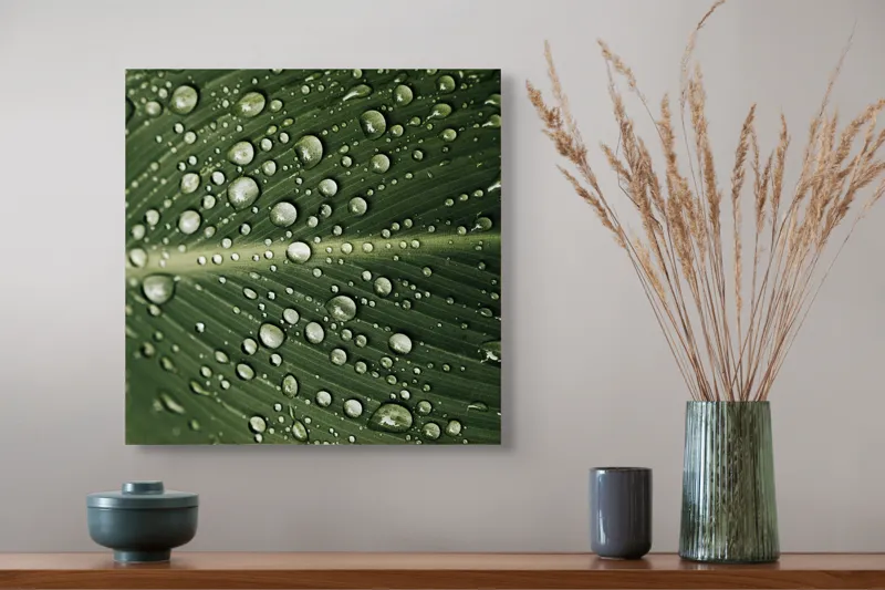 Tablou Canvas, "Picături de ploaie pe frunză verde", Picături, Frunză, Verde, Apă, Natură, Lumină, Textură, Răcoritoare, 50 x 50 cm – poza 4