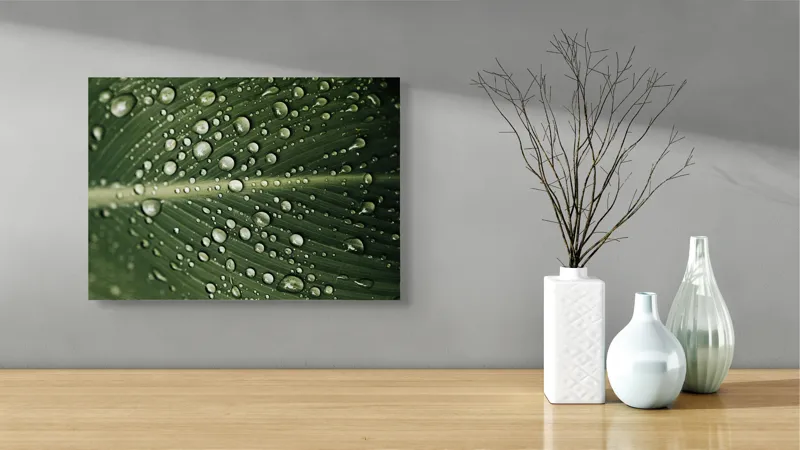 Tablou Canvas, "Picături de ploaie pe frunză verde", Picături, Frunză, Verde, Apă, Natură, Lumină, Textură, Răcoritoare, 54 x 39 cm – poza 3