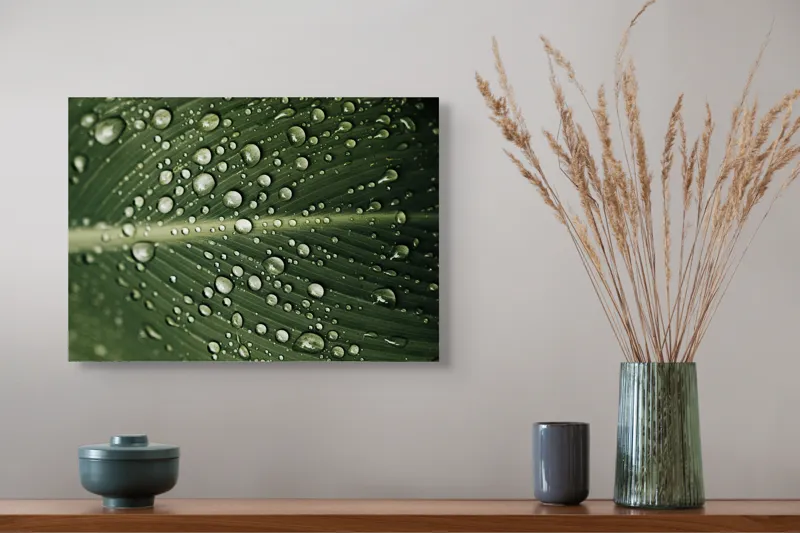 Tablou Canvas, "Picături de ploaie pe frunză verde", Picături, Frunză, Verde, Apă, Natură, Lumină, Textură, Răcoritoare, 54 x 39 cm – poza 4