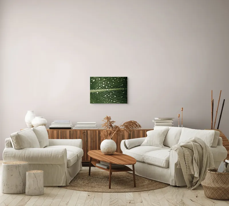 Tablou Canvas, "Picături de ploaie pe frunză verde", Picături, Frunză, Verde, Apă, Natură, Lumină, Textură, Răcoritoare, 54 x 39 cm – poza 5