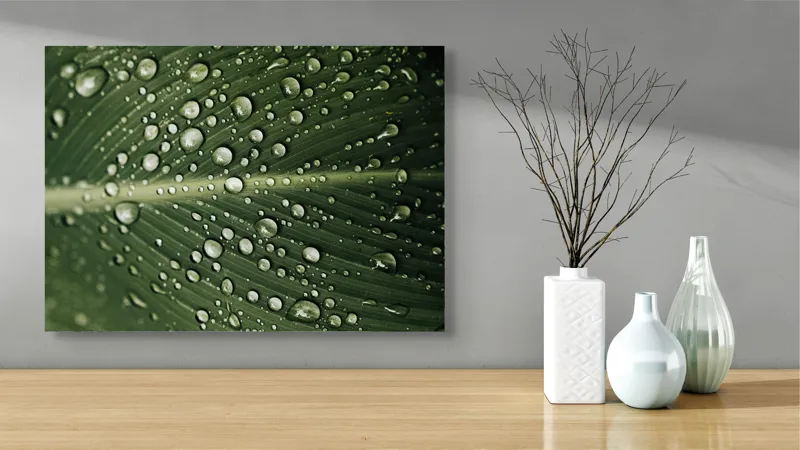Tablou Canvas, "Picături de ploaie pe frunză verde", Picături, Frunză, Verde, Apă, Natură, Lumină, Textură, Răcoritoare, 70 x 50 cm – poza 3